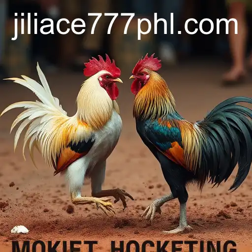 The Controversial Tradition of Cockfighting and the Rise of jiliace777